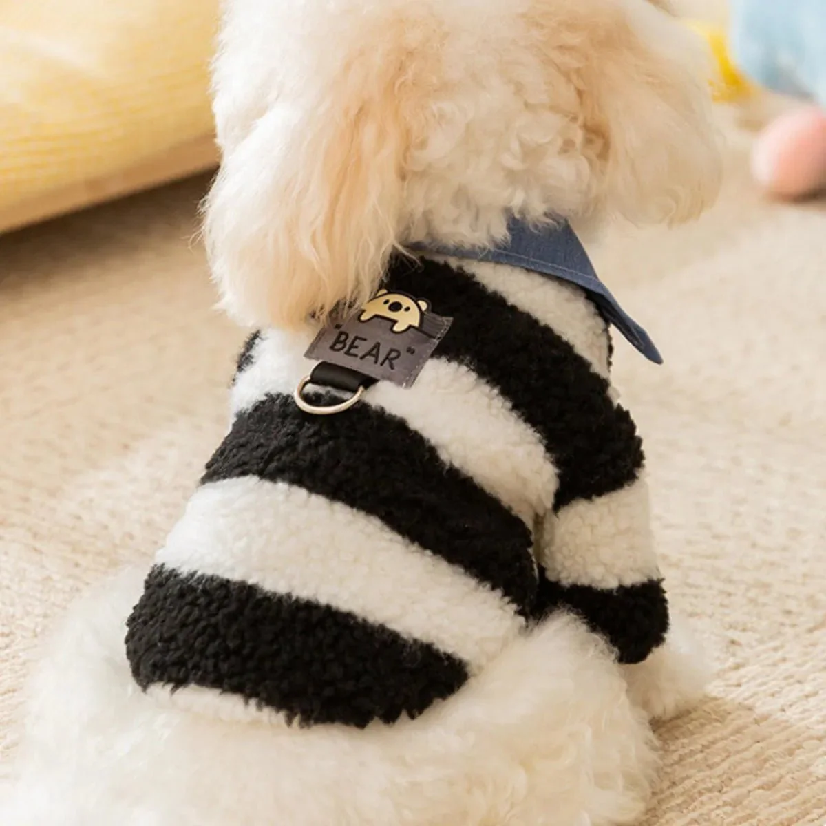 CT9881 1 Pieza De Ropa De Invierno Para Masocta - Imagen 2