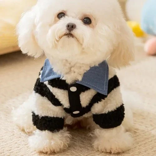 CT9881 1 Pieza De Ropa De Invierno Para Masocta - Imagen 3