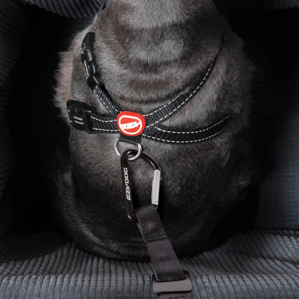 Drive Booster Seat Ezydog - Imagen 2