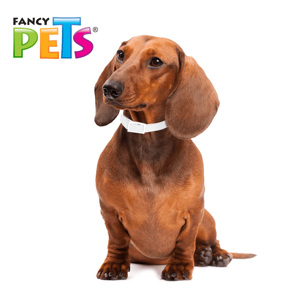 FL3602 1 Pieza De Collar Antipulgas Para Razas Chicas y Cachorros - Imagen 3