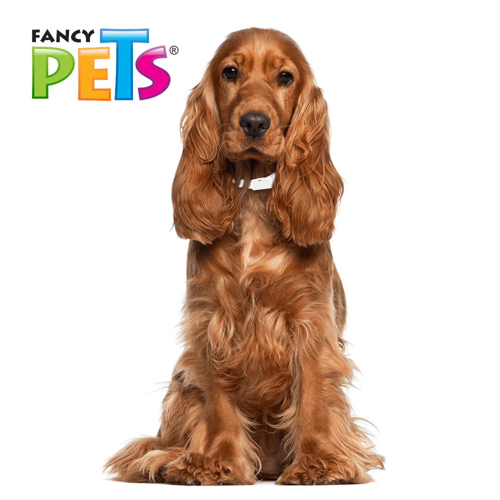 FL3603 1 Pieza De Collar Antipulgas Para Razas Mediana - Imagen 3