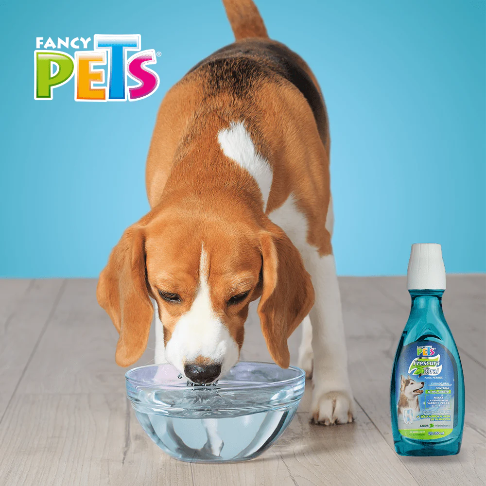 FL3904 1 Pieza Refrescante De Aliento Para Mascota - Imagen 4