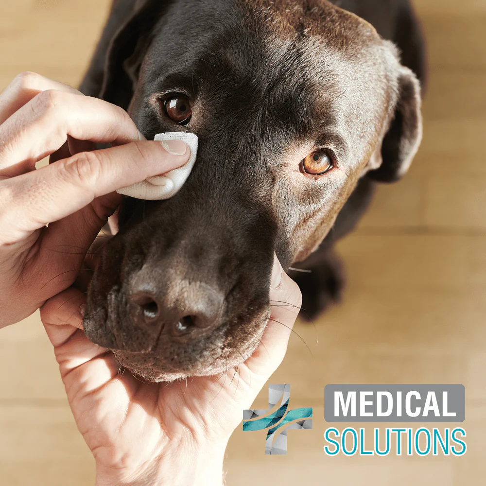 FL3926 1 Bote De 80 Pzs De Toallitas Limpiadoras Para Ojos - Imagen 2