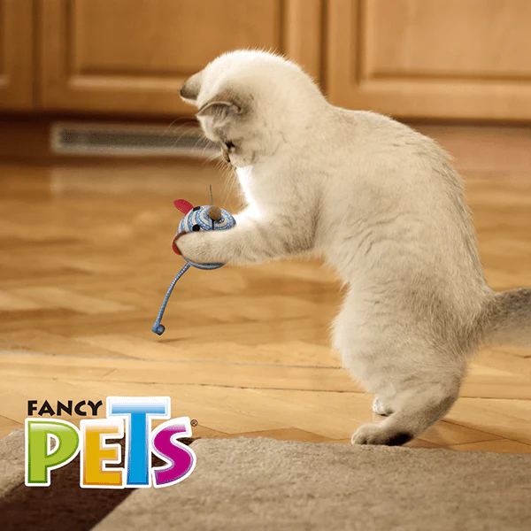FL8268 2 Piezas Juguete Catch Ratón Con Sonaja Para Mascotas - Imagen 5