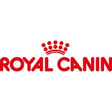 Royal Canin Alimento Perros Adulto Lata 380 Gr Alimento Humedo - Imagen 3