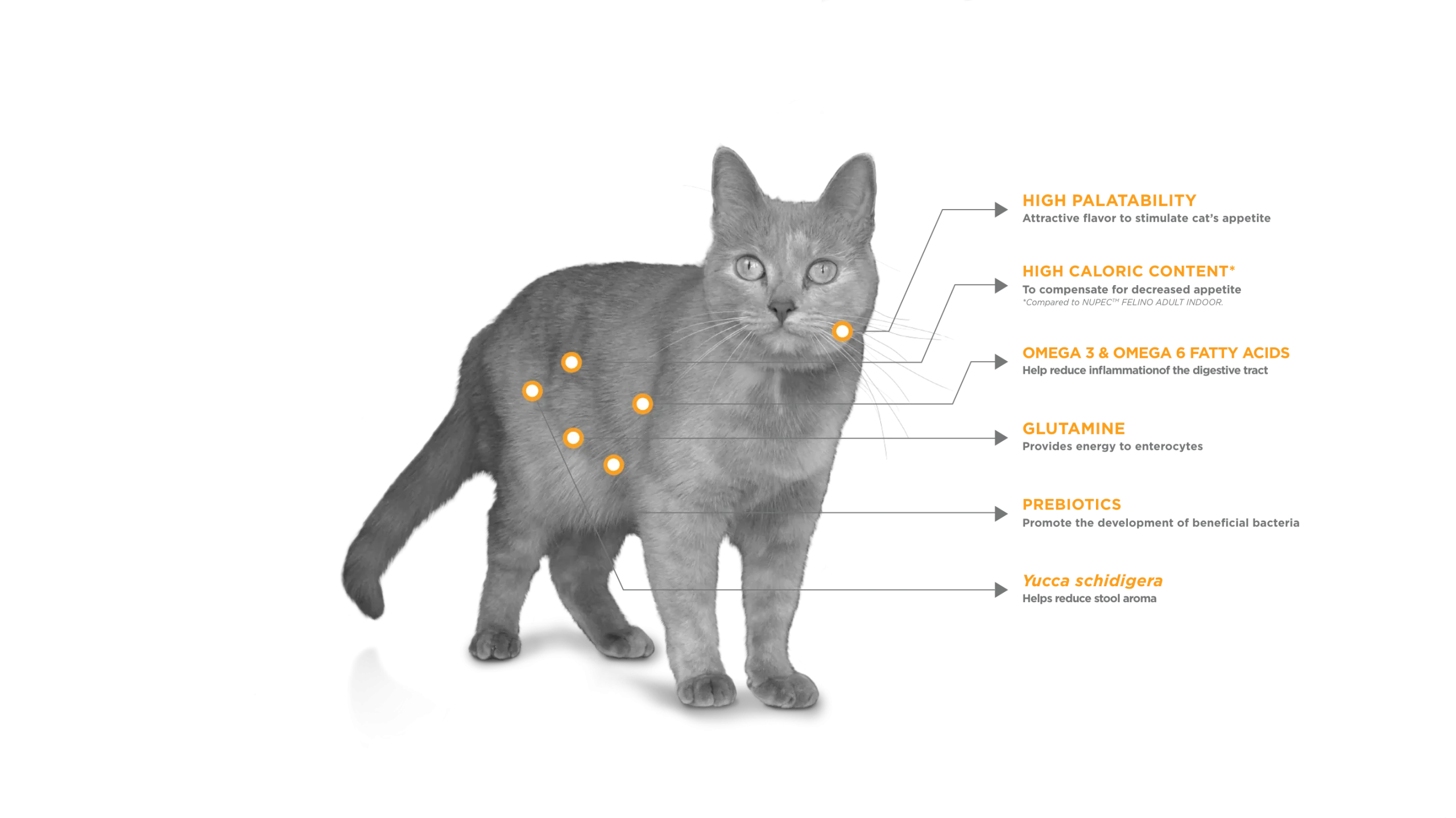 Nupec Felino Digestive Health Alimento para Gato con Problemas Gastrointestinales - Imagen 2