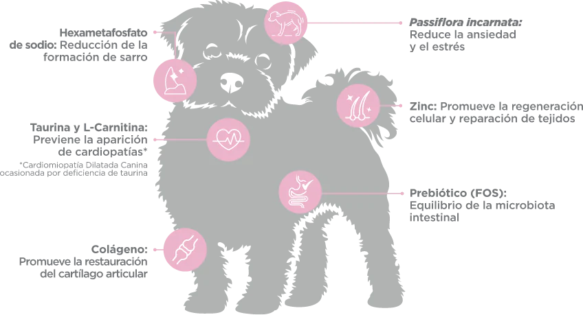 Nupec Adulto Raza Mini Alimento Perro Talla Miniatura - Imagen 2