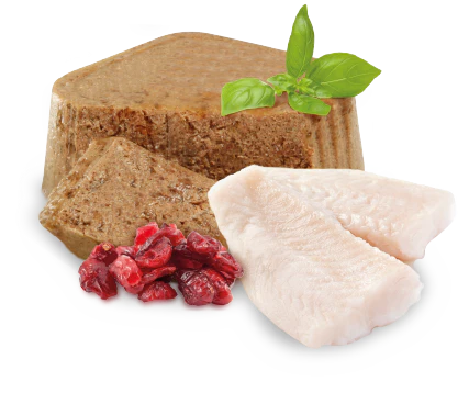 Nupec Felino Urinary 100 g ( Alimento húmedo con pescado y arándanos ) - Imagen 3