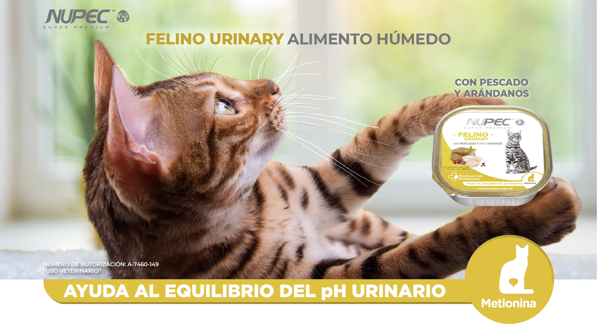 Nupec Felino Urinary 100 g ( Alimento húmedo con pescado y arándanos ) - Imagen 2