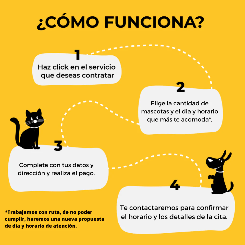 Limpieza dental, oídos, lagrimales con corte de uñas (perro o gato) - Imagen 2