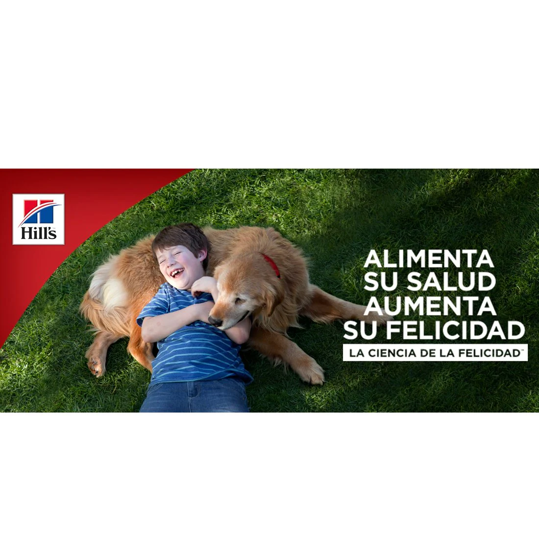 Hills Science Diet Alimento Perros Cachorro Raza Grande Croquetas Pienso puppy - Imagen 3