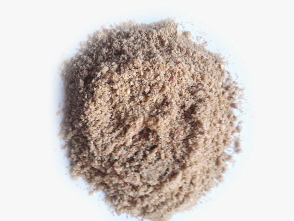 Abene Papilla Alimento para Loros Bebes 500 gr Cotorros Guacamayas Polluelos - Imagen 2