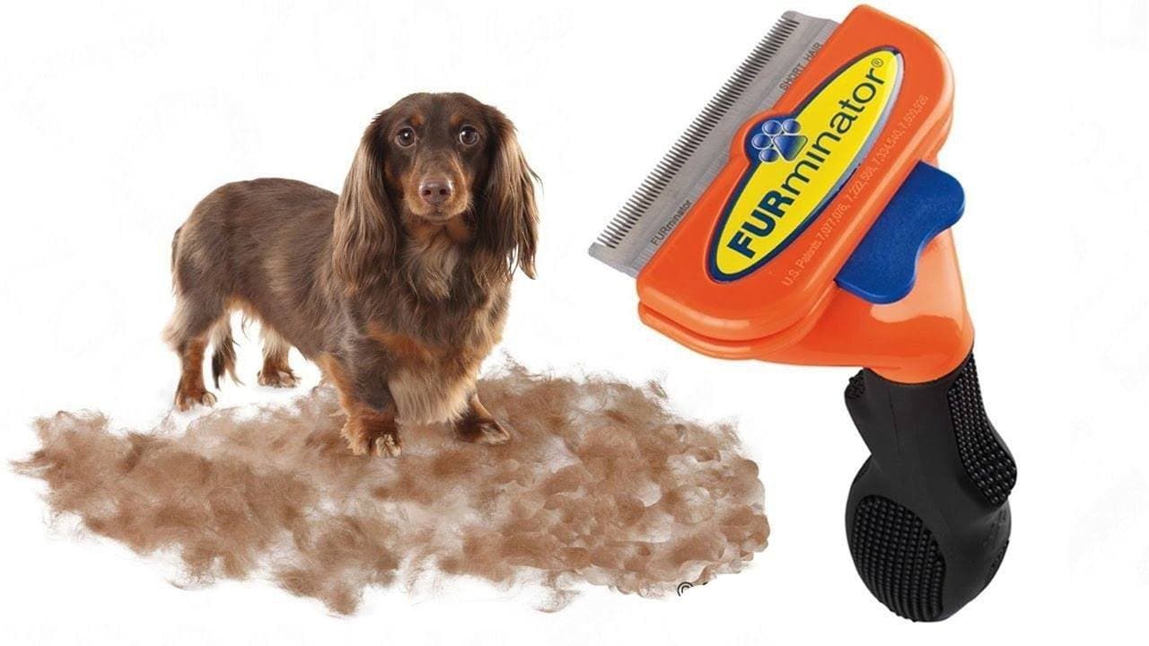 Furminator Kit de Cepillo Mediano para Perro de Pelo Largo Y Spray Hidratante 215ml - Imagen 5