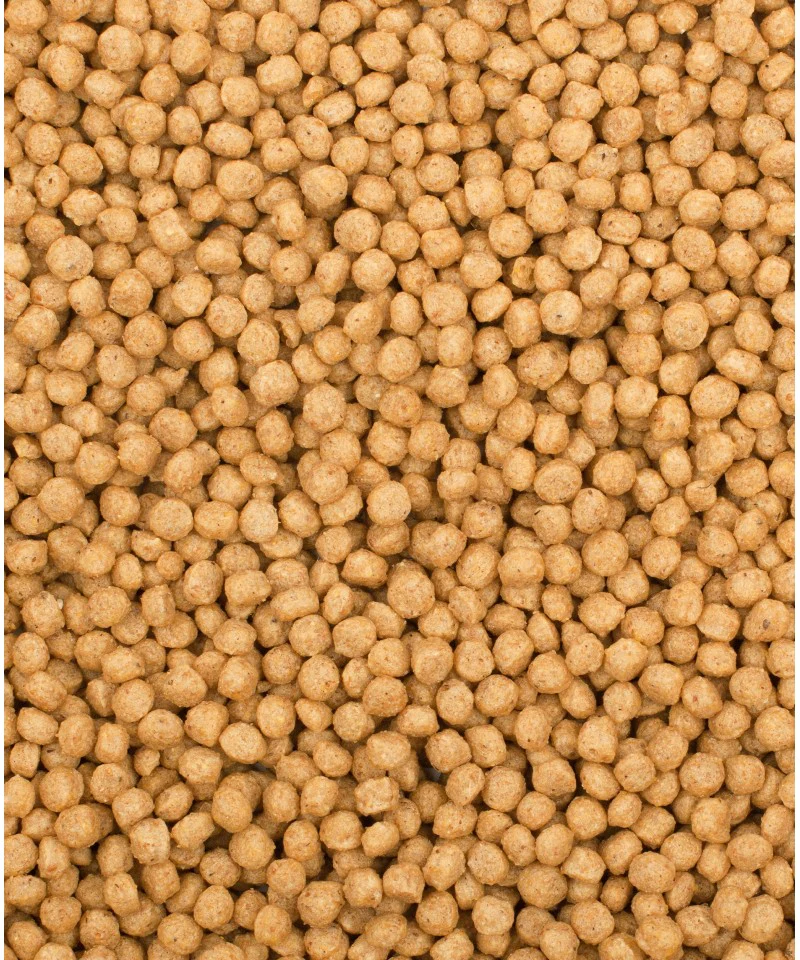 Psittacus Alimento Aves Mantenimiento Mini Psitacidos Ninfas Agapornis Cotorras Pienso Croquetas - Imagen 2