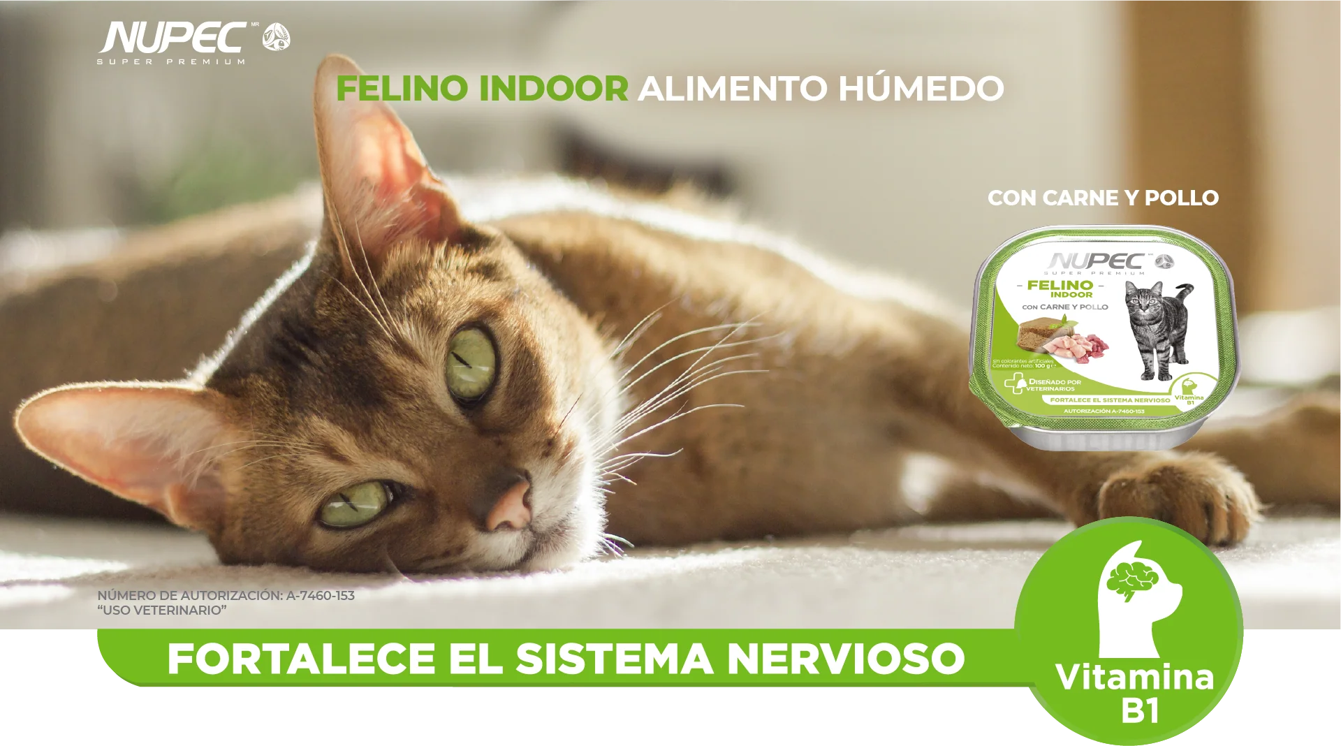 Nupec Caja con 4 piezas Alimento Húmedo Gato Indoor 100 Gr - Imagen 2