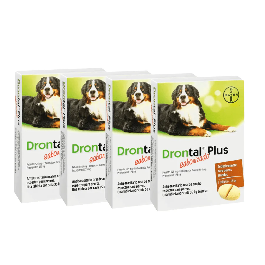 Pack 4 Drontal Plus Perros Razas Grandes