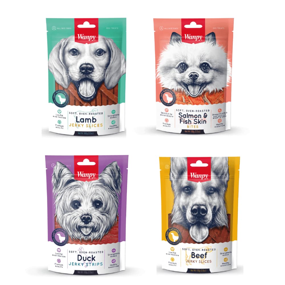 Pack 4x Wanpy Sabores