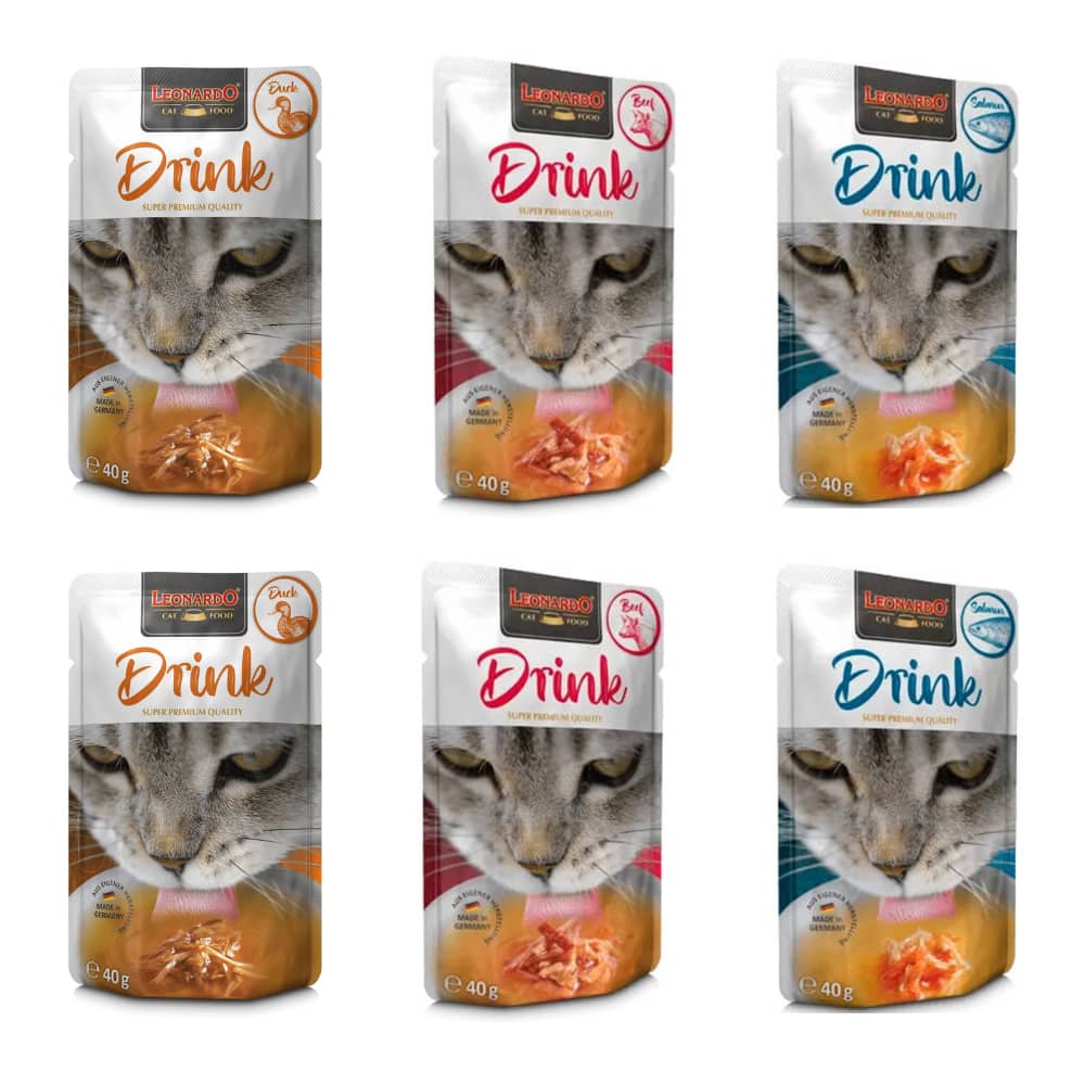 Pack 6x Leonardo Drink Sabores