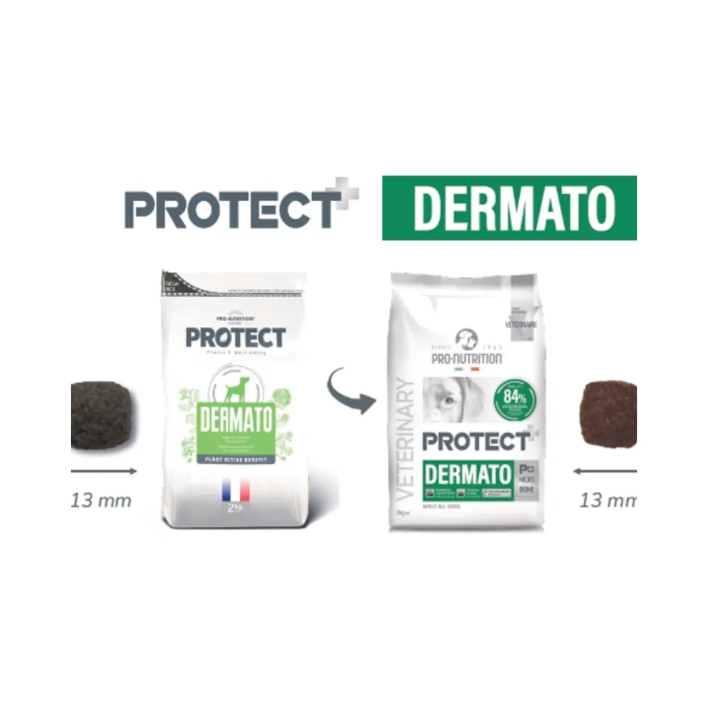 Protect Dermato Canino - Imagen 3