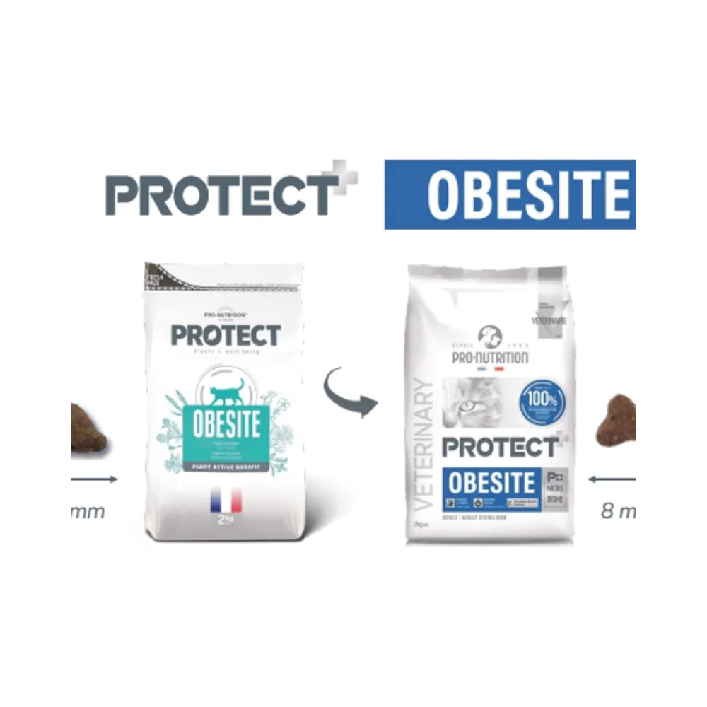 Protect Obesite Felino 2kg - Imagen 2