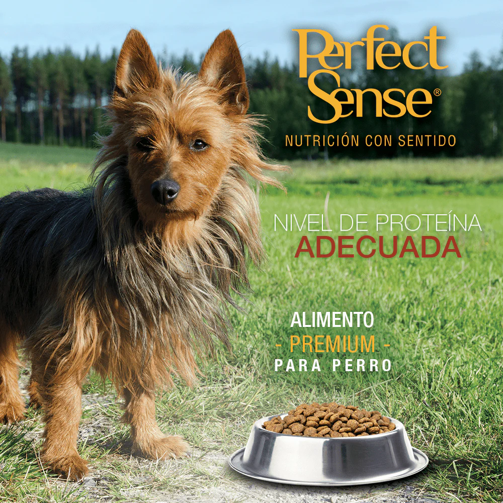 PS1822 1 Pieza De 3 Kg De Alimento Premium Adulto Raza Chica - Imagen 3