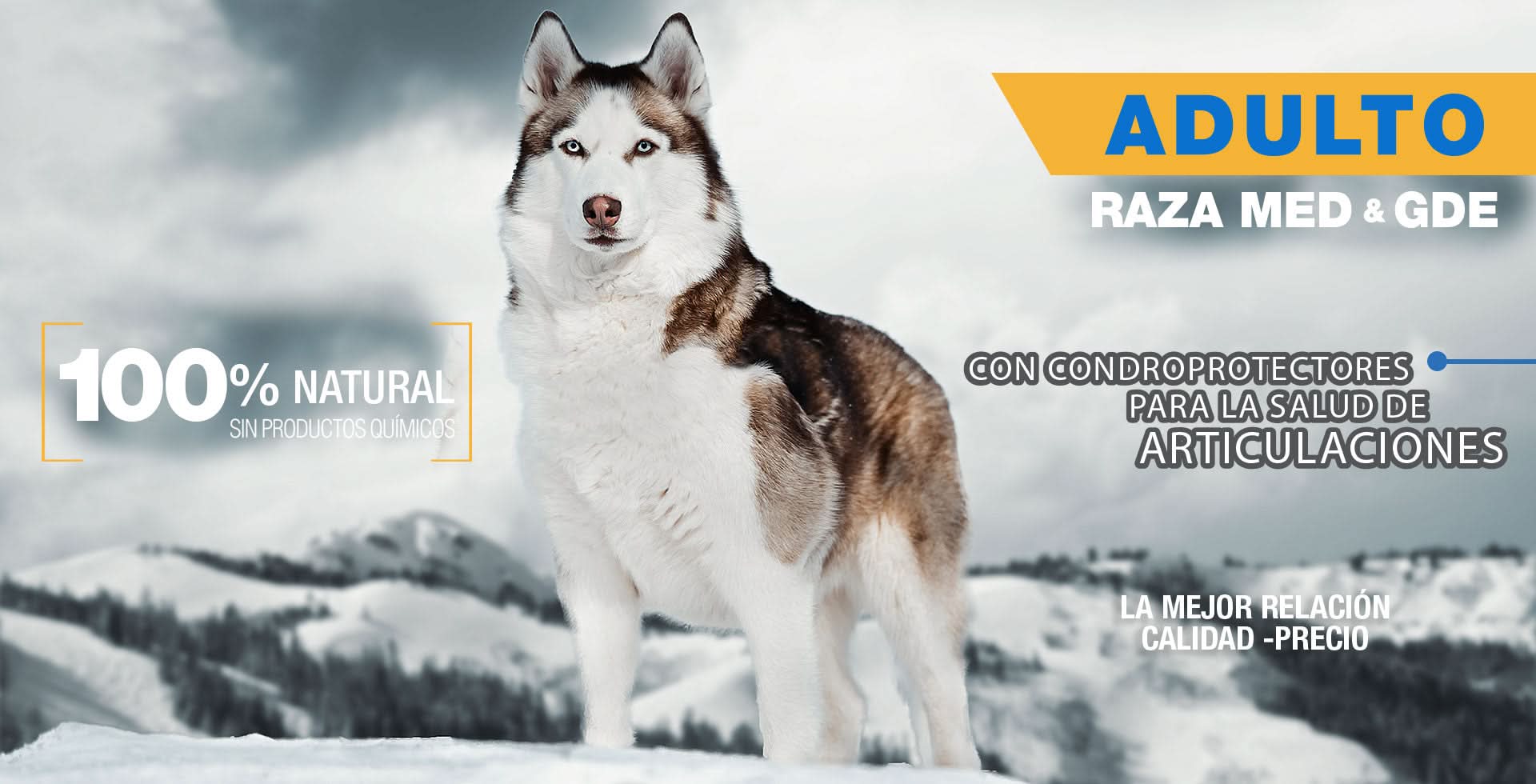 PS1834 1 Pieza De 8 Kg De Alimento Premium Adulto MLB - Imagen 3