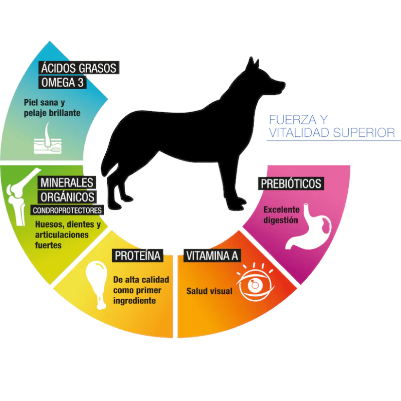 PS1834 1 Pieza De 8 Kg De Alimento Premium Adulto MLB - Imagen 2