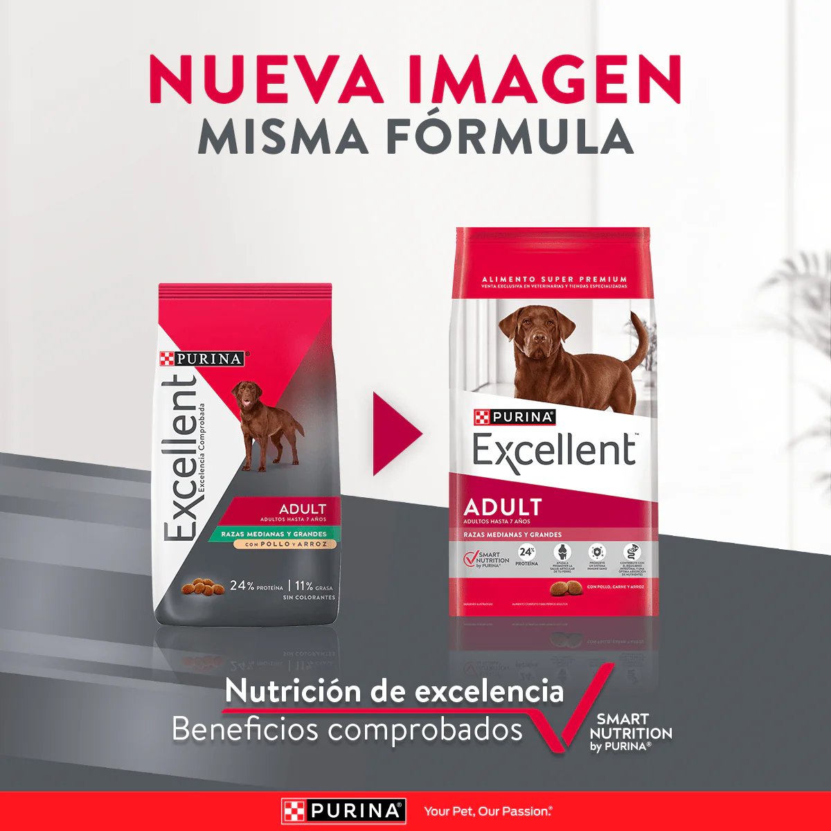 Purina Excellent Perro Adulto 12kg - Imagen 2