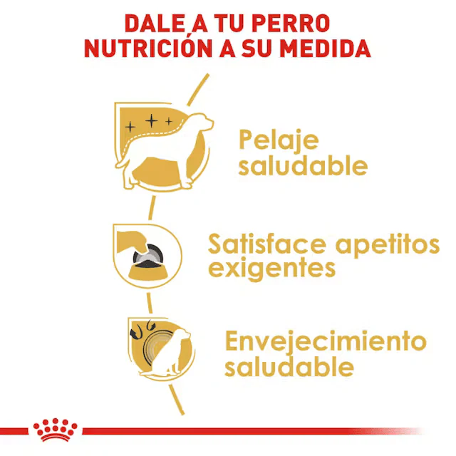 Royal Canin Yorkshire Terrier Adult - Imagen 4