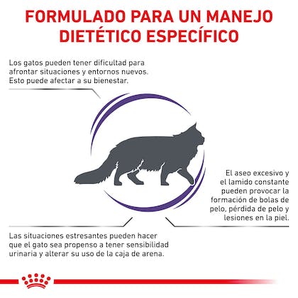 Royal Canin Alimento Gatos Weight Control Feline Control Peso Croqueta Pienso - Imagen 3
