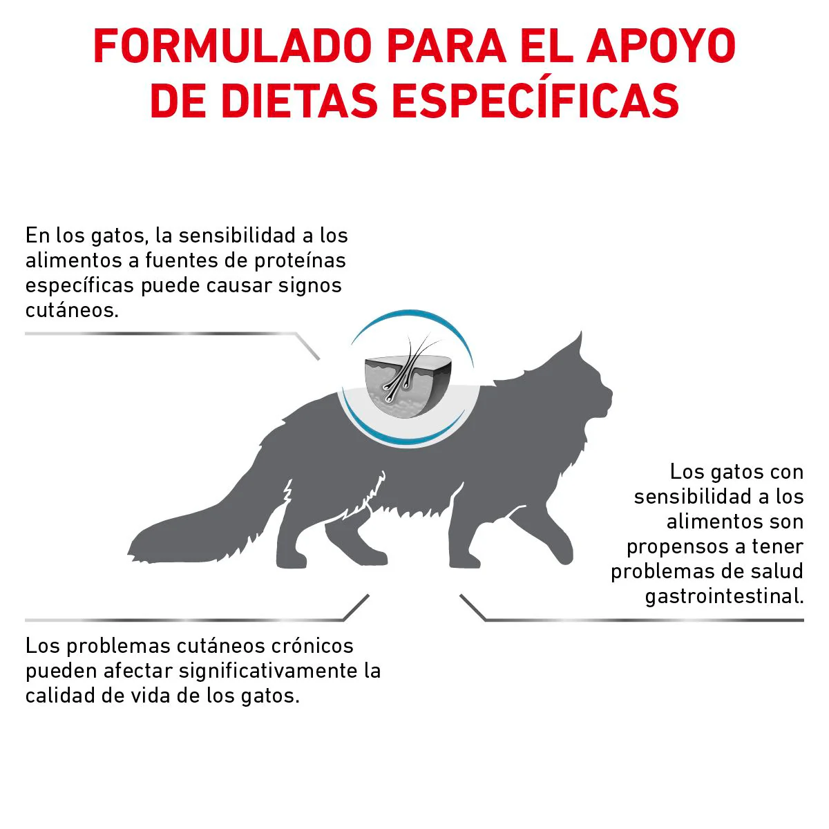 Royal Canin Alimento Gatos Hydrolyzed Protein Adult HP Feline 3.5 kg Alergia Intolerancia Alimentaria - Imagen 3