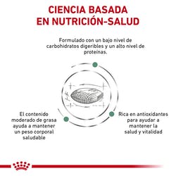 Royal Canin Alimento Perros Glycobalance Diabetes Mellitus Croqueta Pienso - Imagen 5