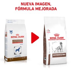 Royal Canin Alimento Perros GastroIntestinal High Energy Diarrea Infeccion Intestinal Croqueta - Imagen 3