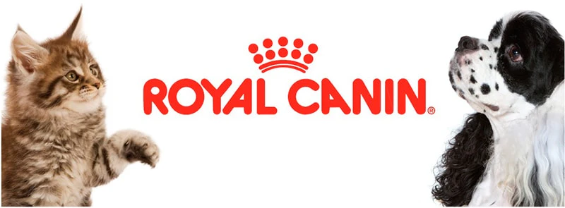 Royal Canin Alimento Perros Club HE Croqueta 15 Kg - Imagen 3