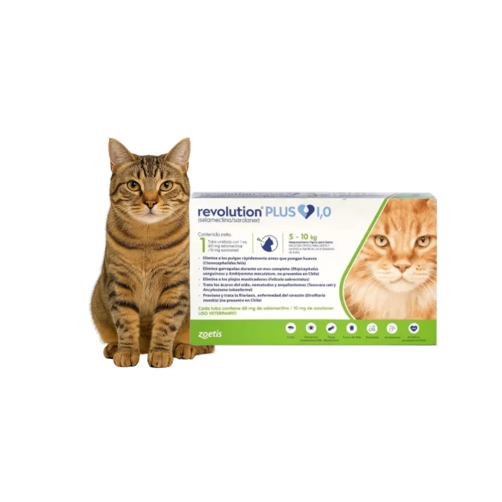Revolution Plus Gato 5 - 10kg (1ml) - Imagen 2