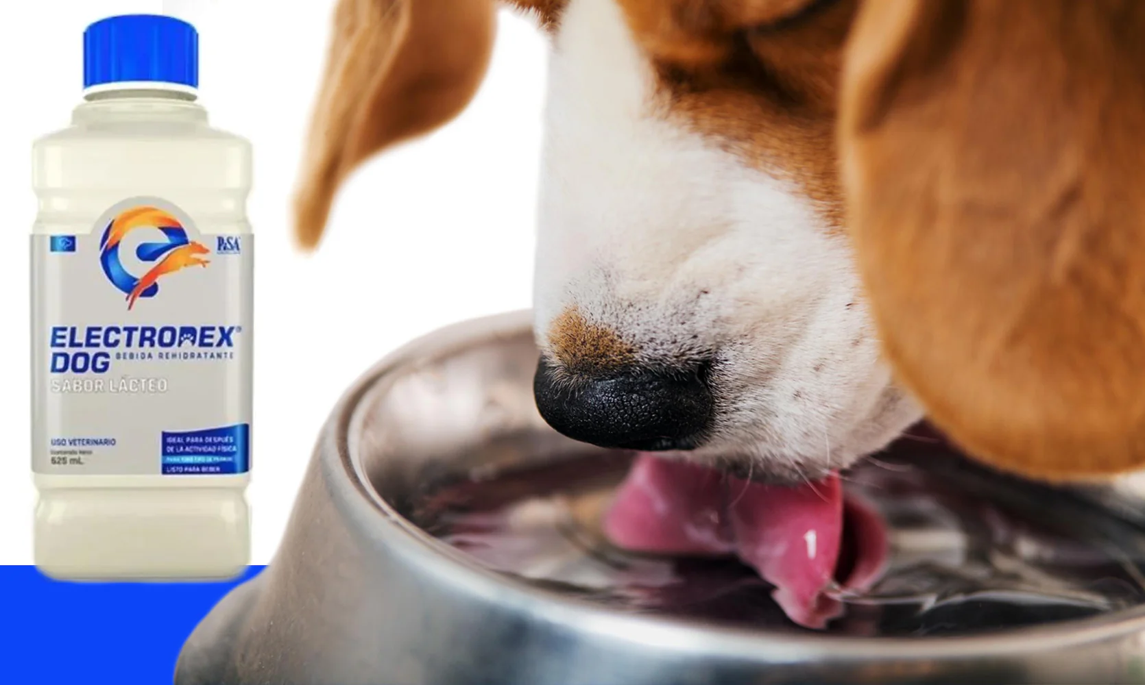Electrodex Dog Suero Rehidratante con Electrolitos y Sabores para tu Perro, 625 ml - Imagen 5