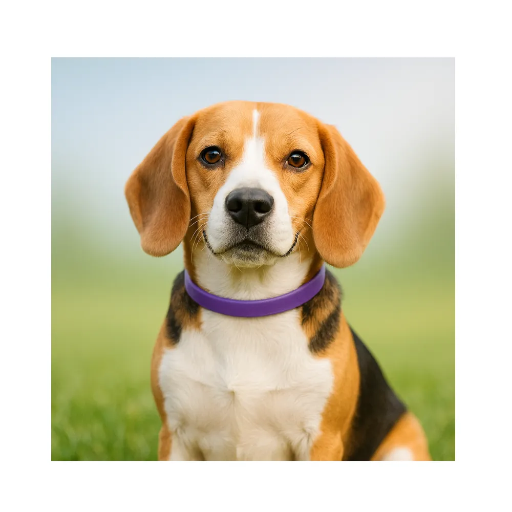 Sentry Calming Collar Perro - Imagen 2