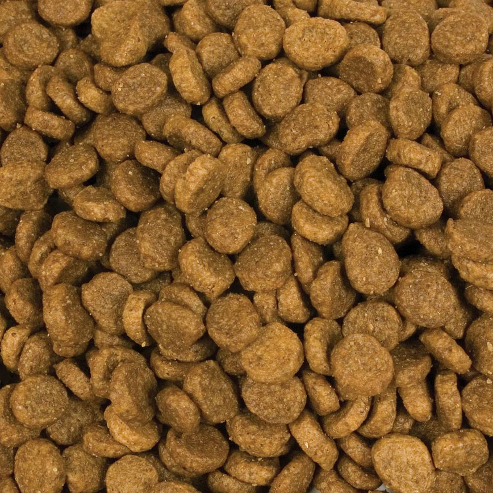 Taste of The Wild Alimento Perros Cachorro High Prairie Puppy Pienso Croqueta - Imagen 3