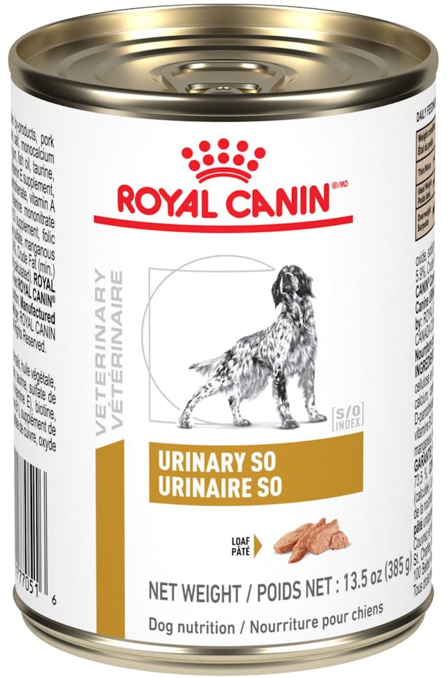Lata Royal Canin Urinary SO 385 g - Alimento Húmedo (12 Unidades)