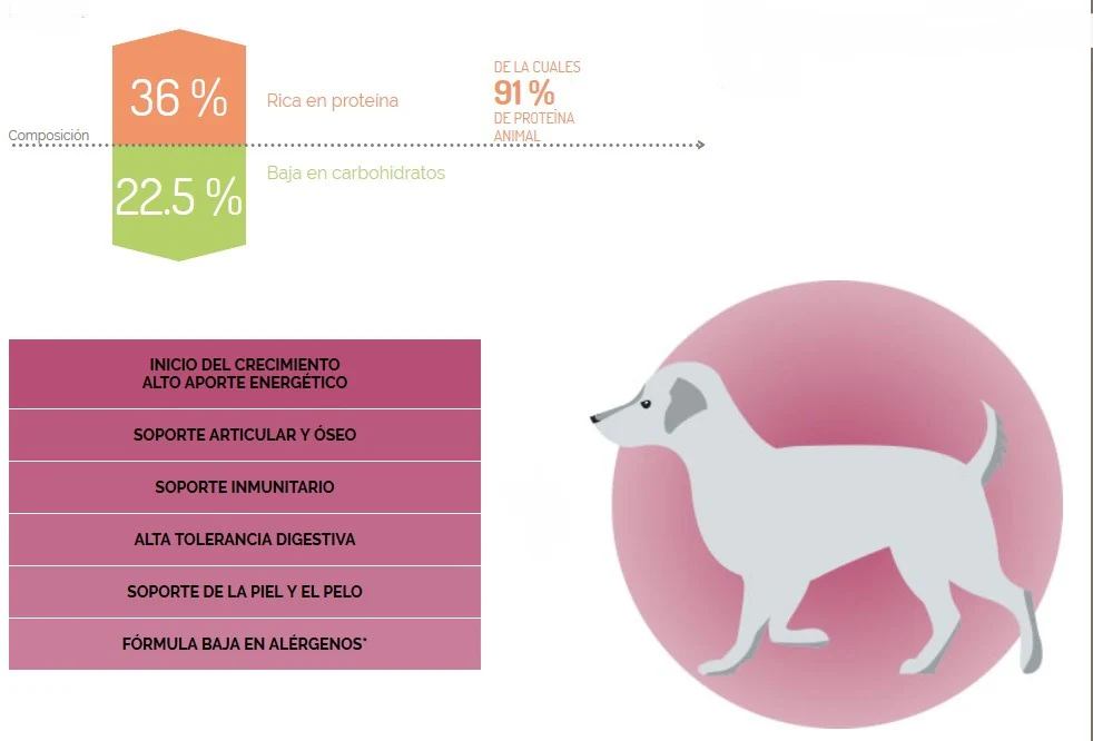 Virbac Alimento Perros Baby Large Medium Cachorro Raza Mediana Grande Croqueta Pienso - Imagen 2