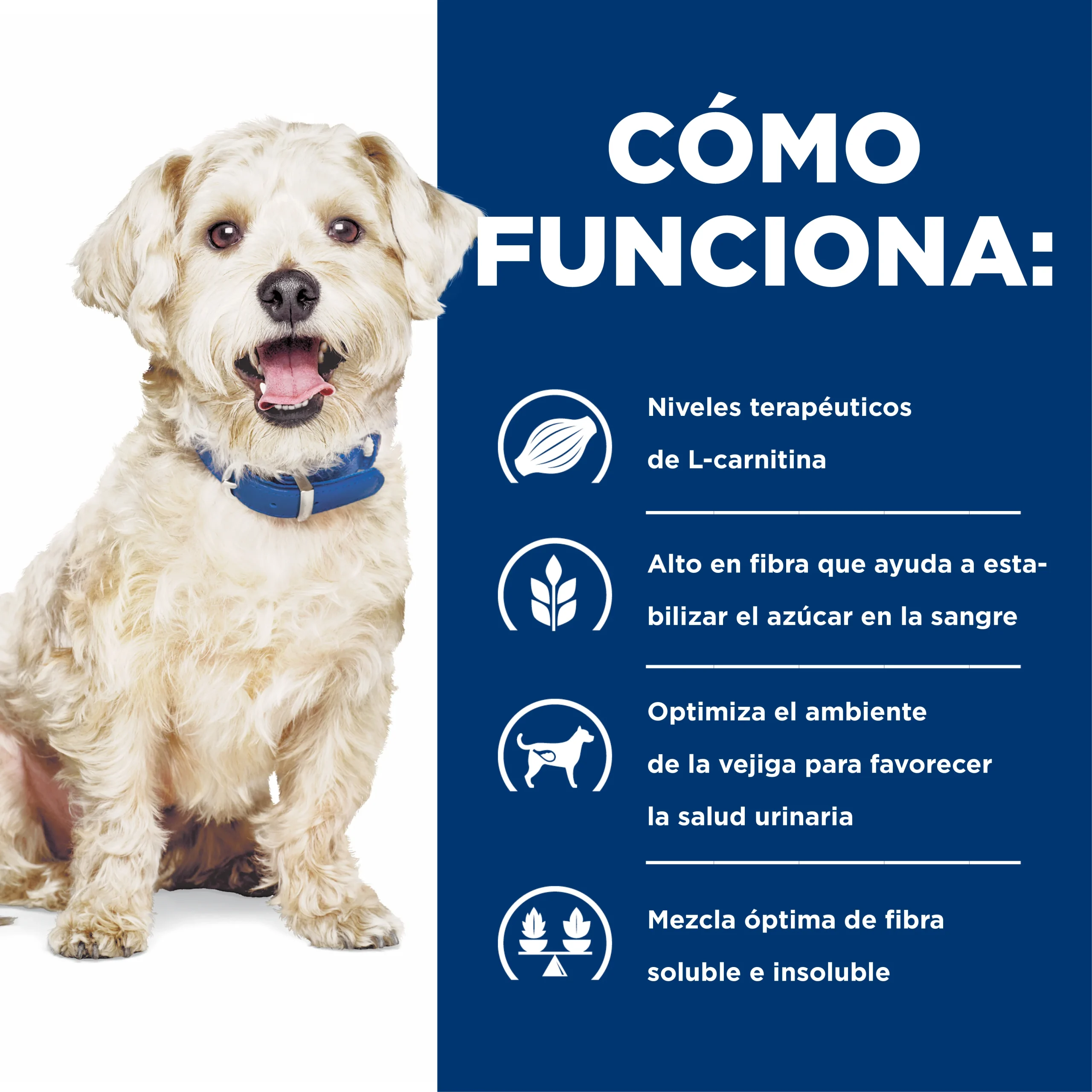 Hills Science Diet Alimento Perros w/d Sobrepeso Prevencion Obesidad wd - Imagen 4