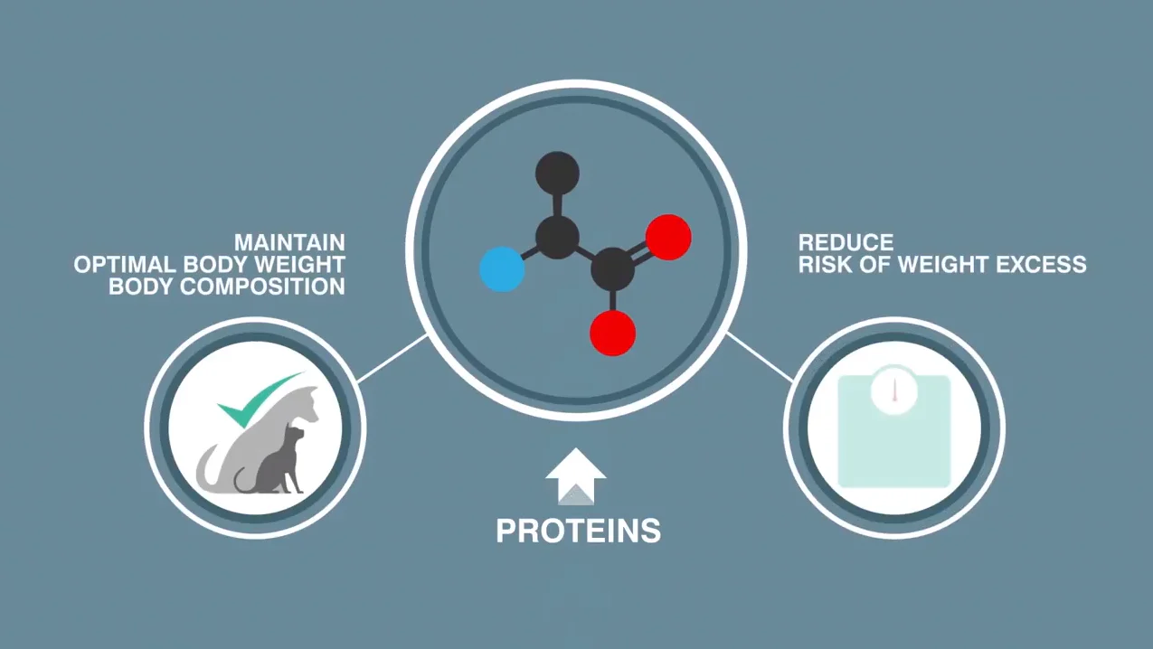 Virbac Alimento Perros Baby Large Medium Cachorro Raza Mediana Grande Croqueta Pienso - Imagen 3